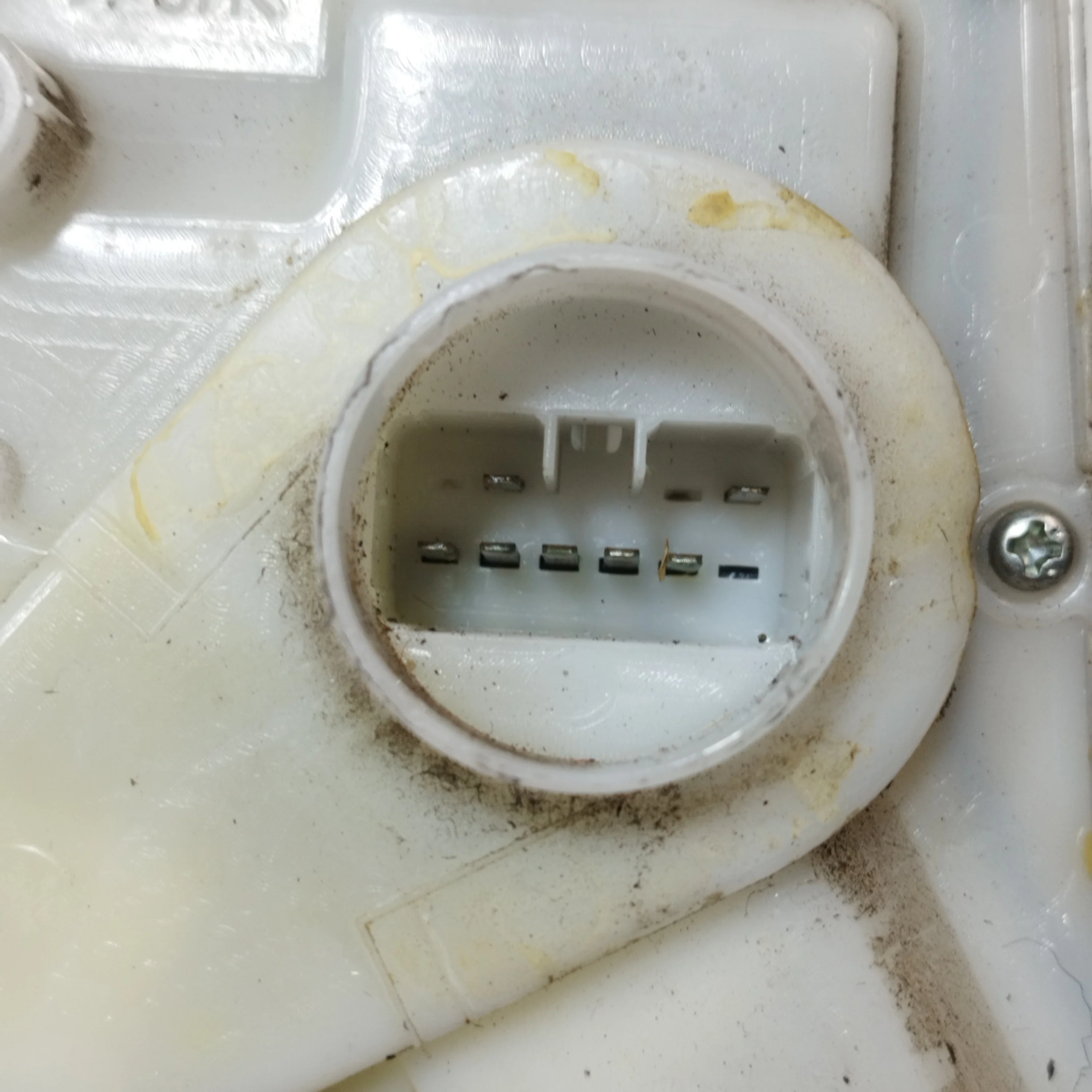 Immagine prodotto 4